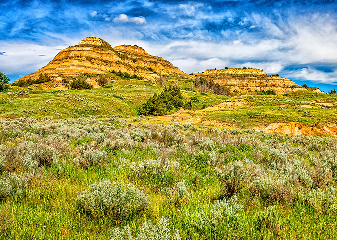 Theodore Roosevelt Park