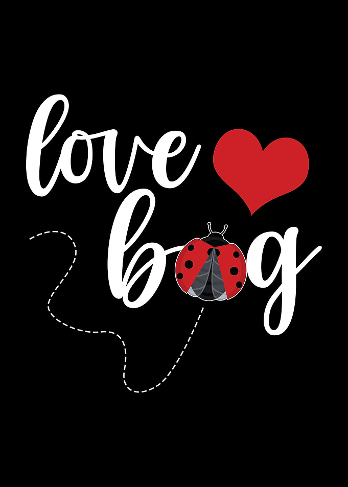 Lady Bug Girls Cute