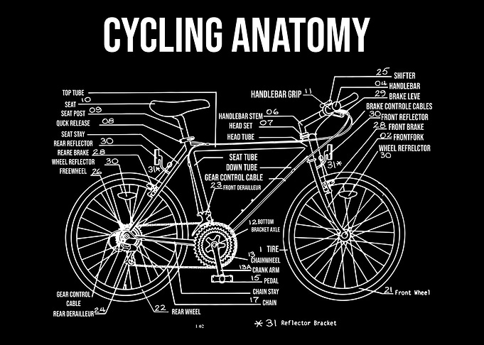 Cycling Cyclist