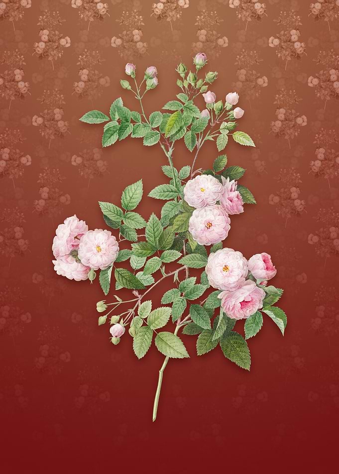 Vintage Pink Baby Roses