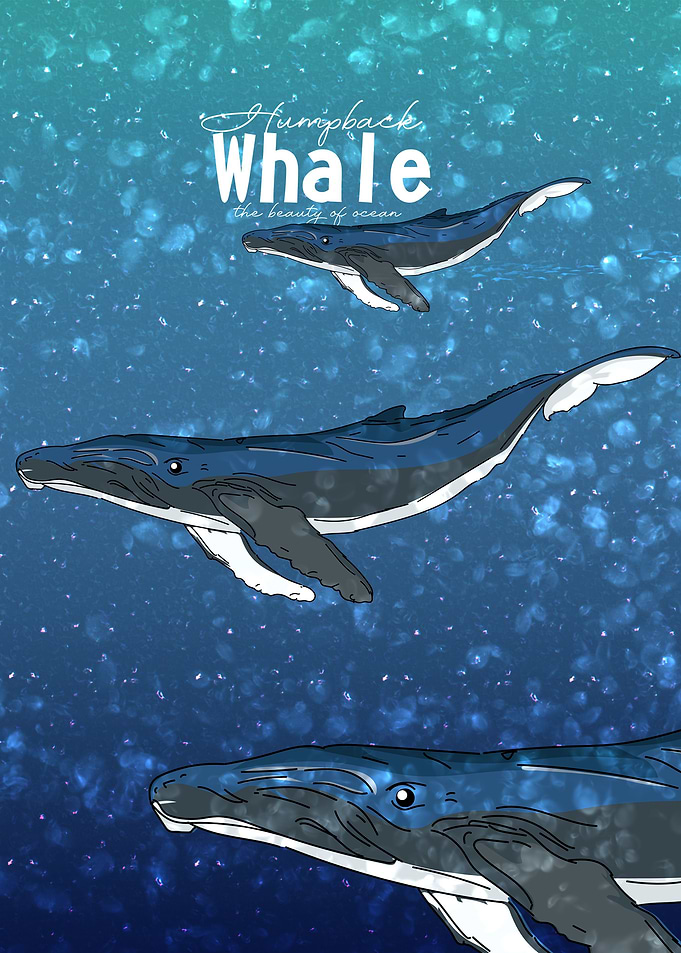 The Humpback Whales
