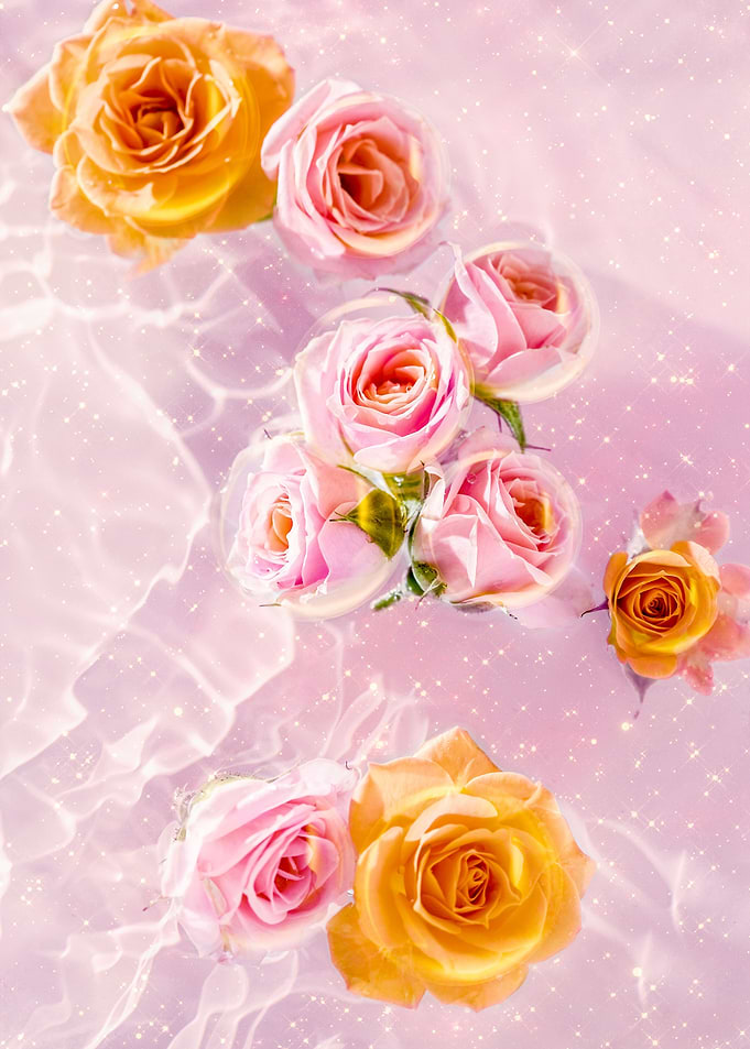 Delicate Roses