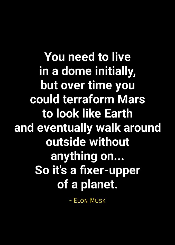 Elon Musk quotes