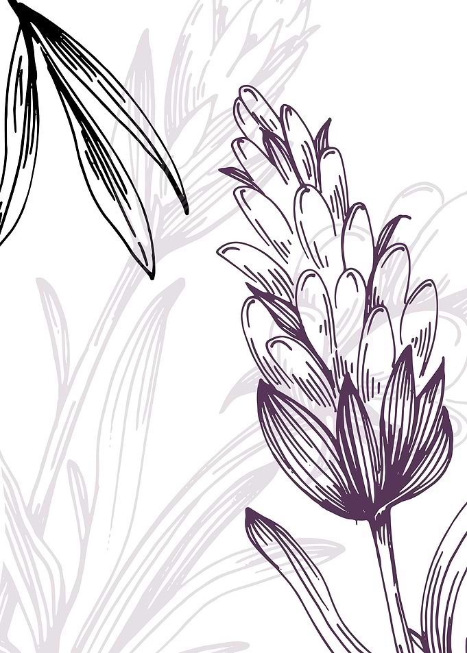 Lavender Botanical Nordic