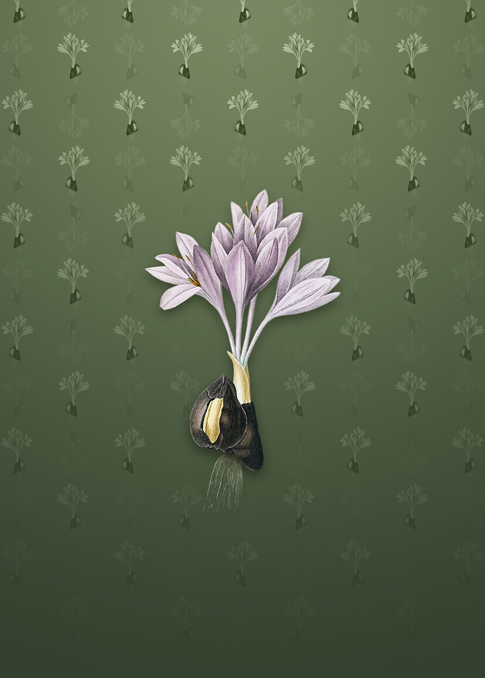 Vintage Autumn Crocus