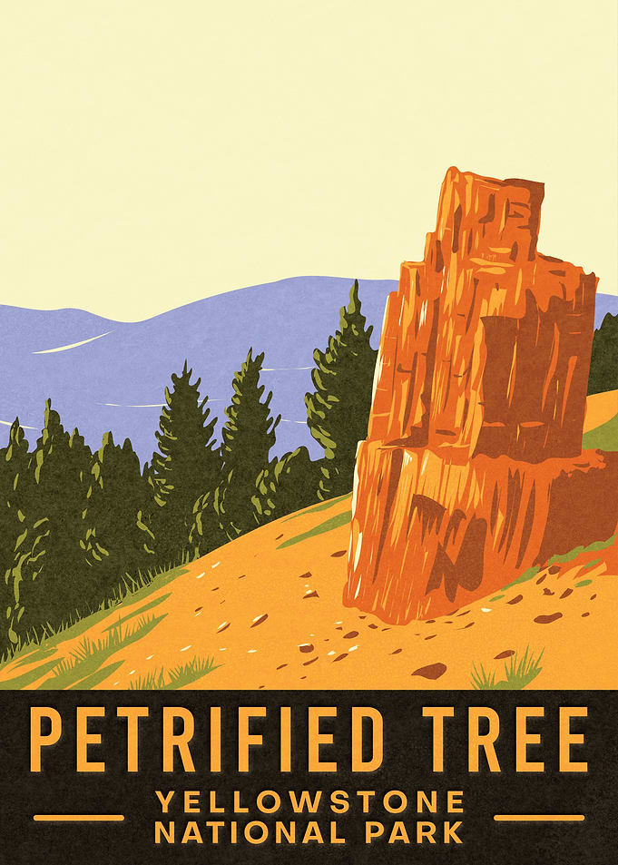 Petrified Tree