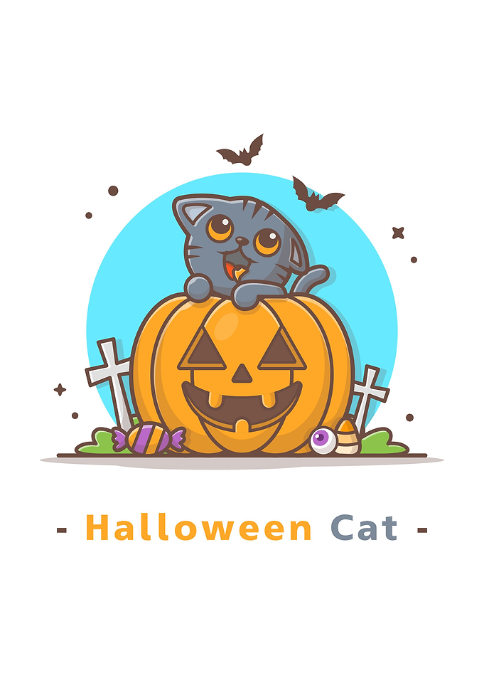 Cat on halloween pumpkin