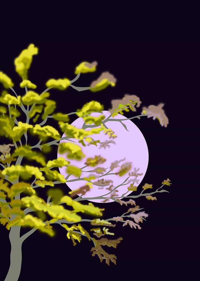 Black Moon