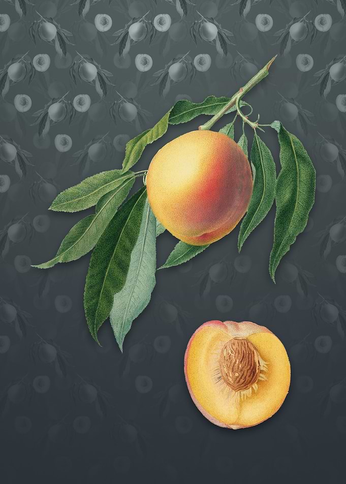 Peach on Slate Gray