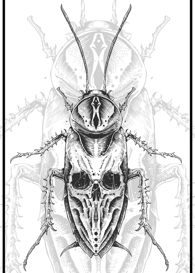 Metamorphosis
