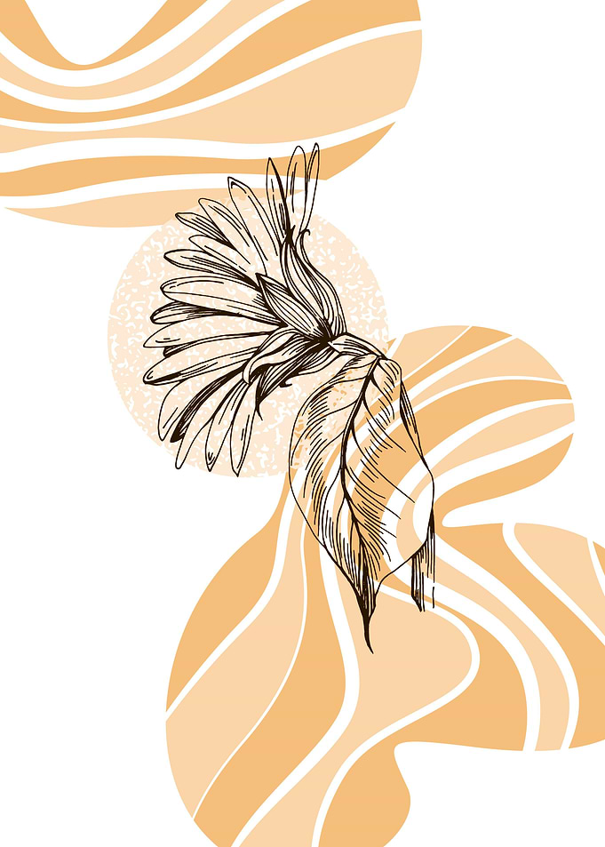 Sunflower Geometric flower