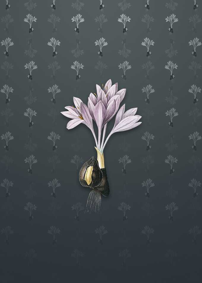 Vintage Autumn Crocus