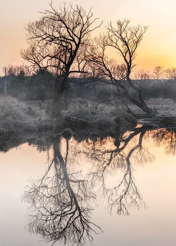 Morning reflections