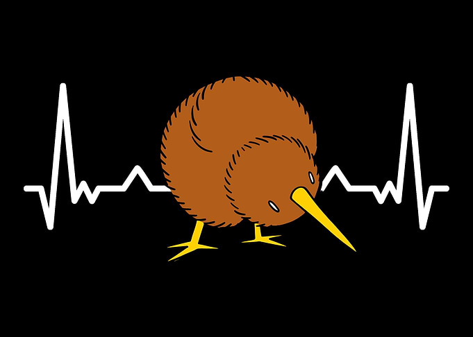 Great Kiwi Bird Zealnds Lo