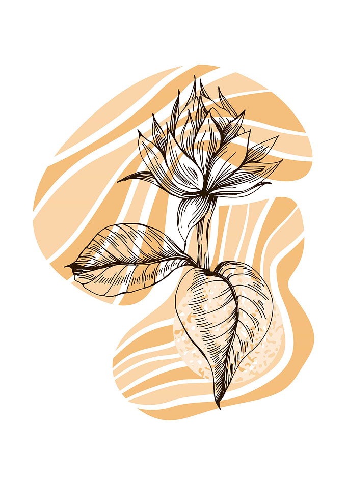 Sunflower Geometric flower