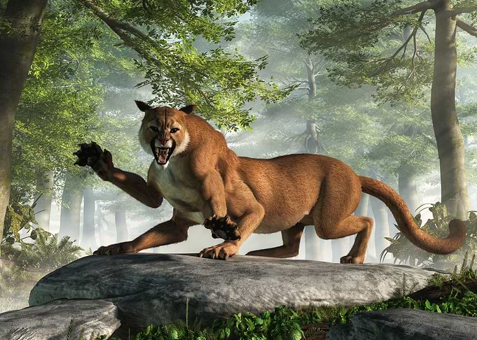 The Wampus Cat
