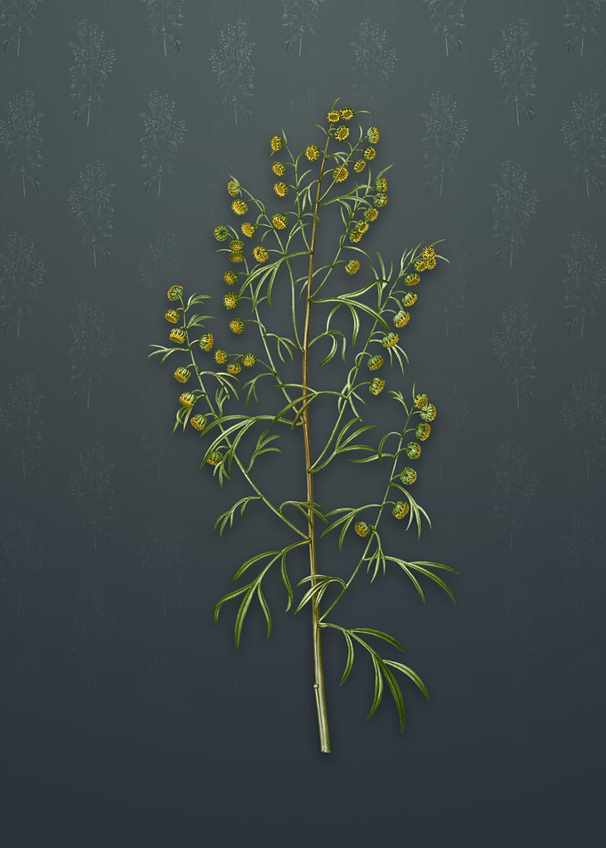 Vintage Madeira Wormwood