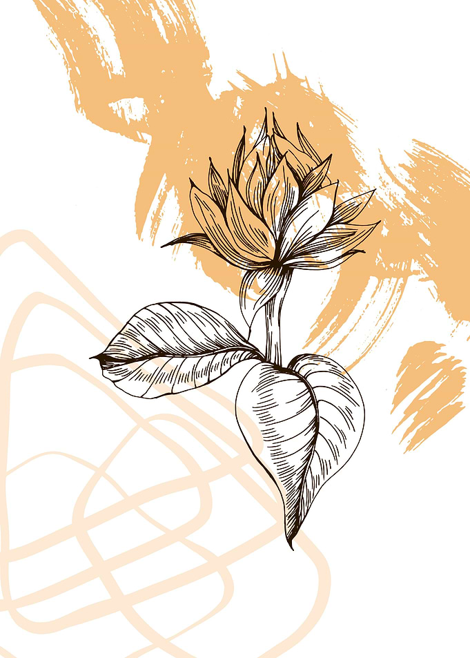 Sunflower Geometric flower
