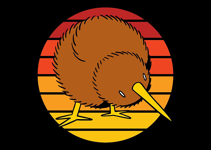 Great Kiwi Bird Zealnds Lo