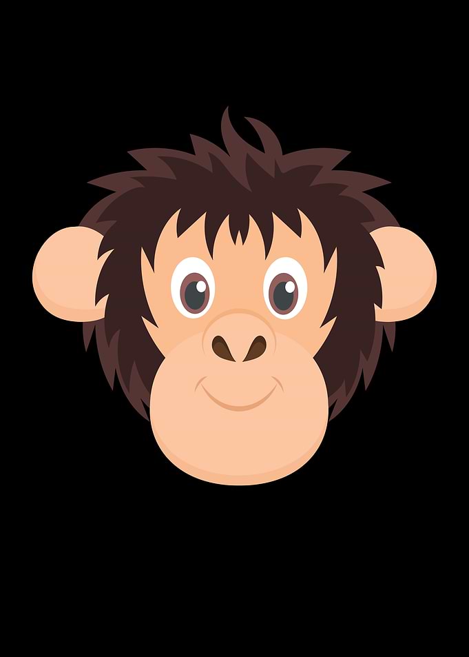 Monkey Kids Monkey Head