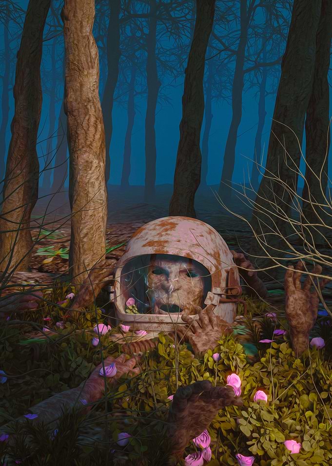 Into the woods