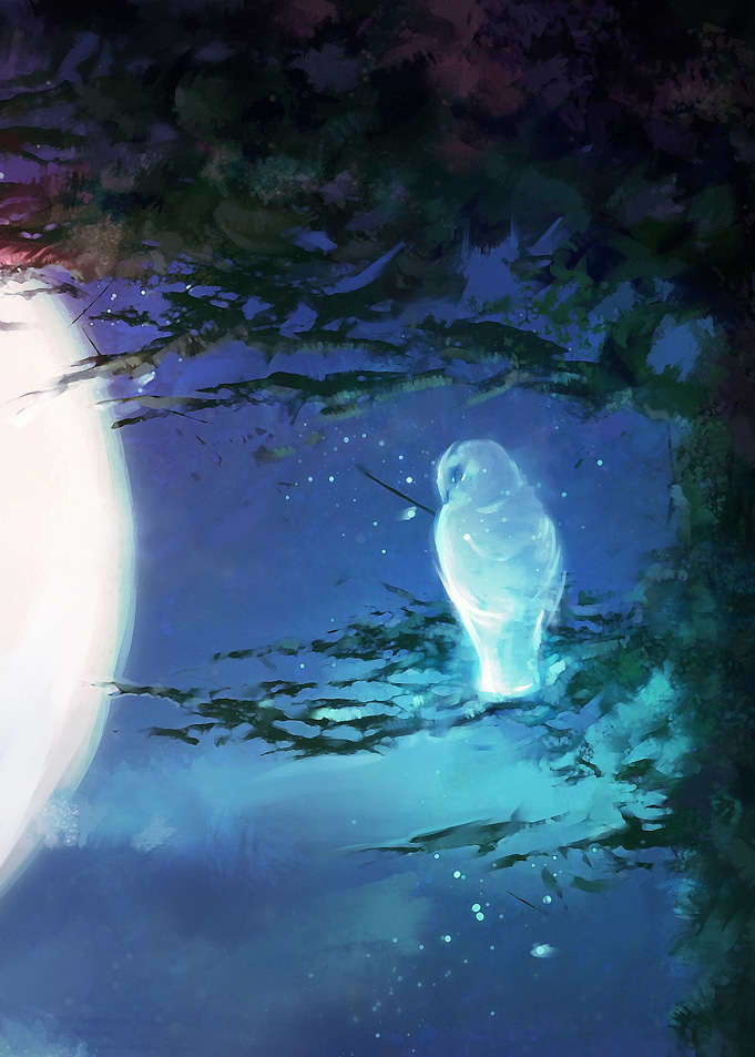 Owl