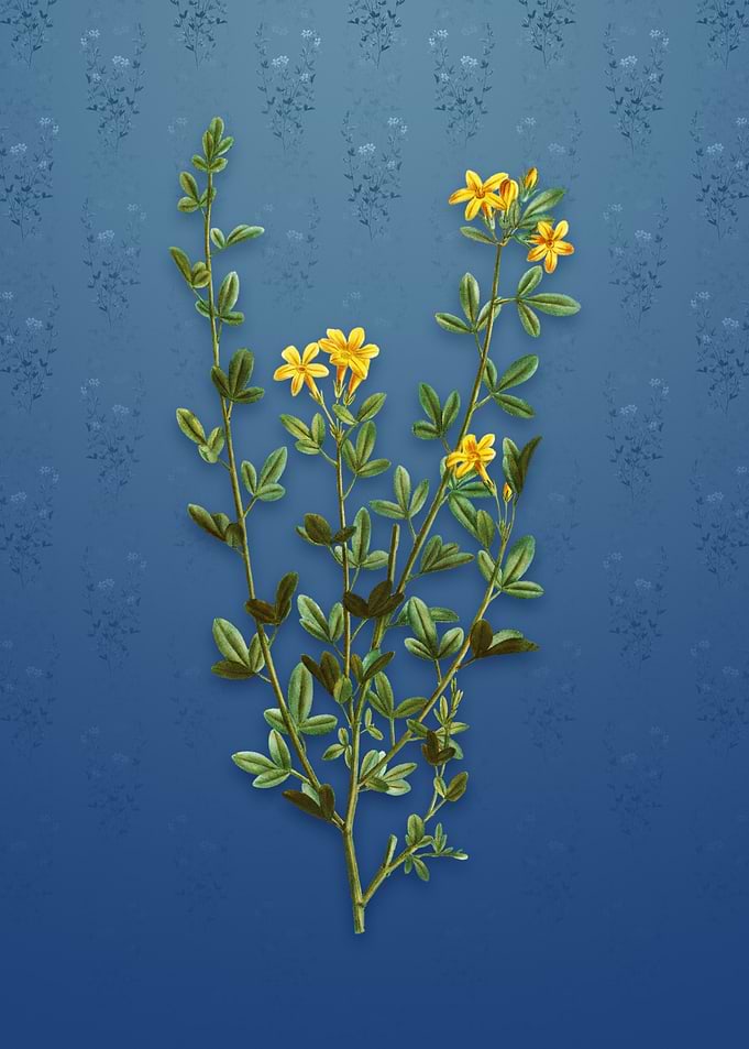 Yellow Jasmine Flowers