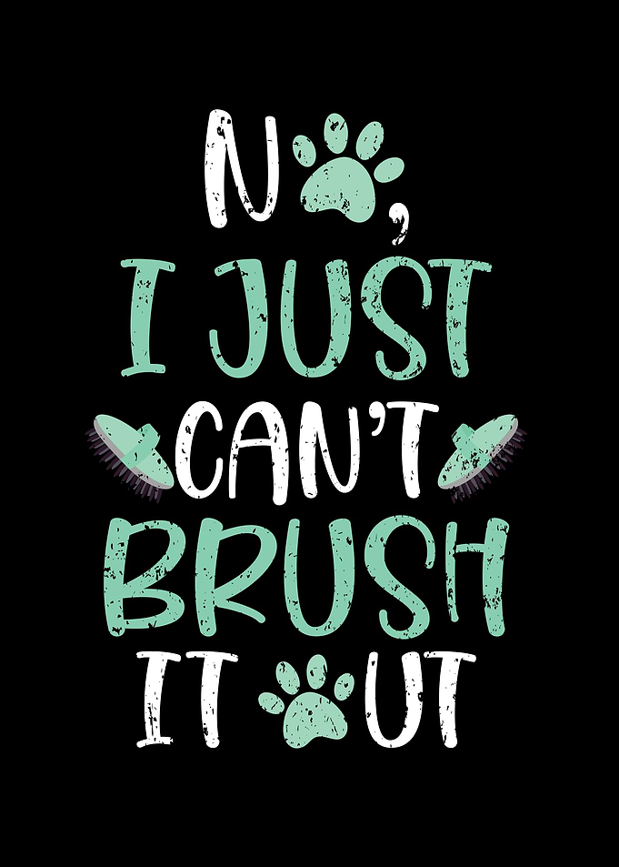 Pet Groomer Animal Stylist