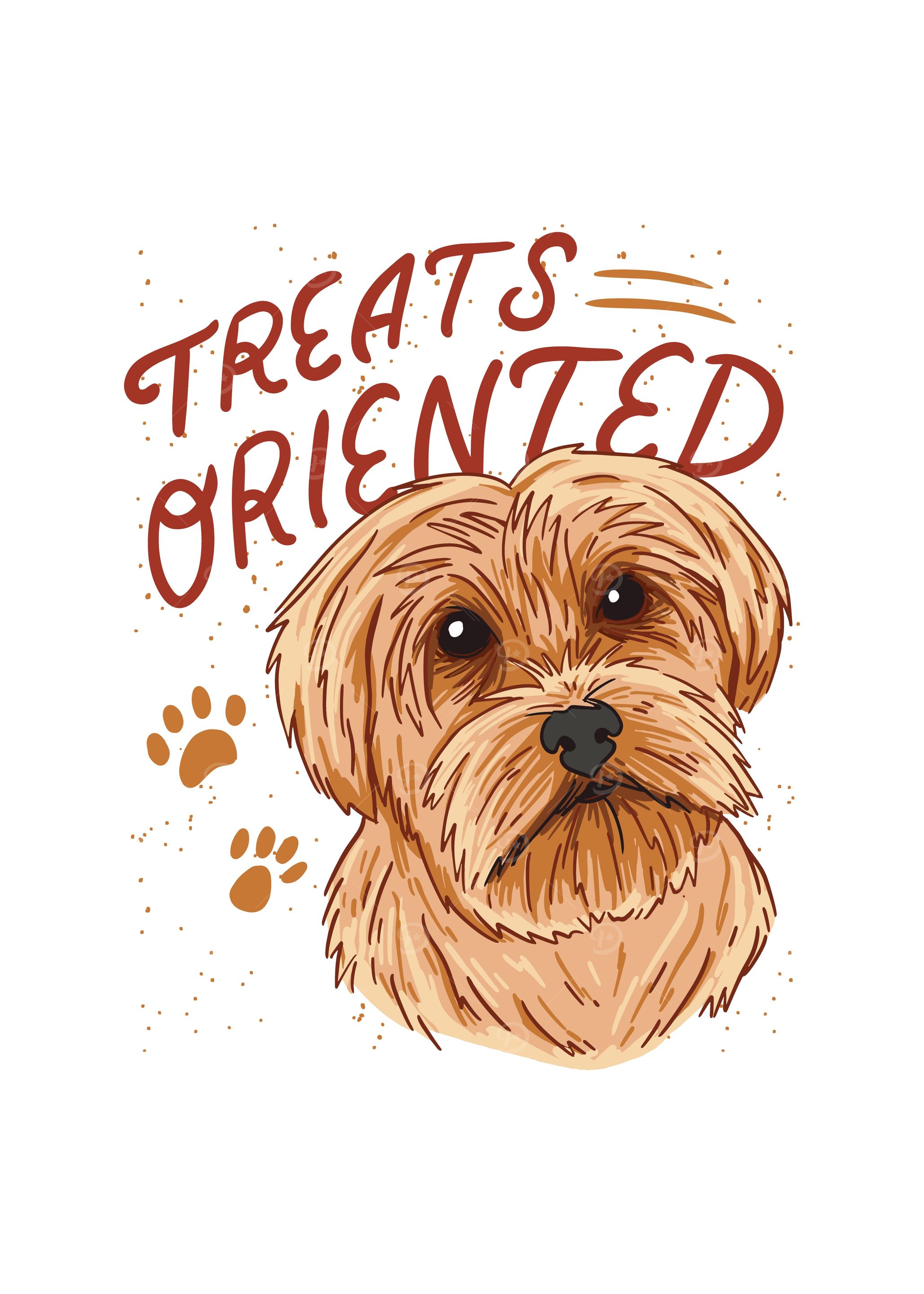 Yorkshire terrier dog
