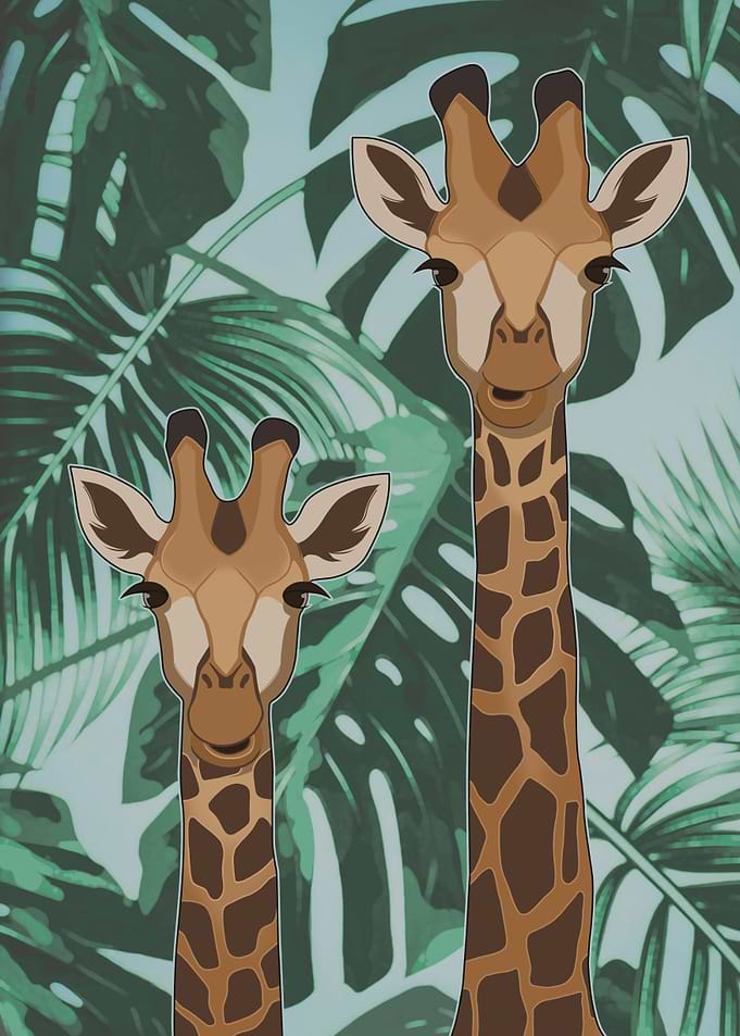 A couple of giraffes