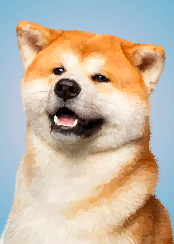 Akita Inu Dog