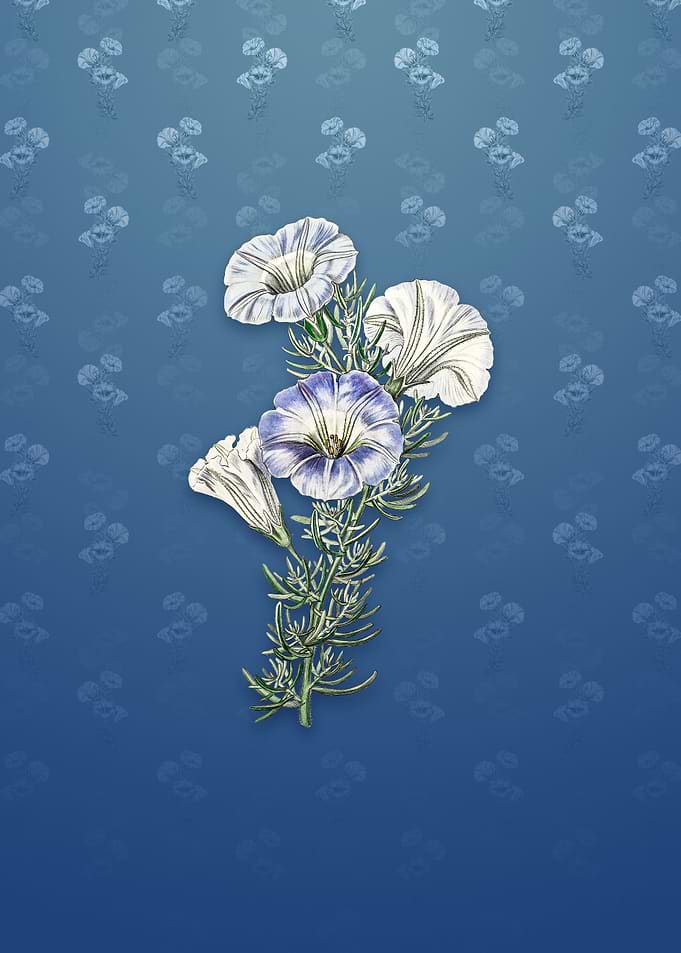 Sky Blue Alona Flower