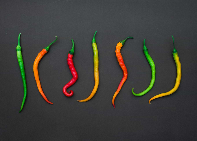 Chilli Colours