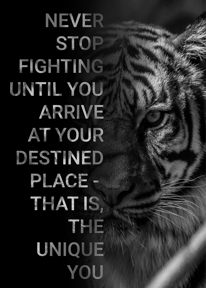 Never Stop Fight