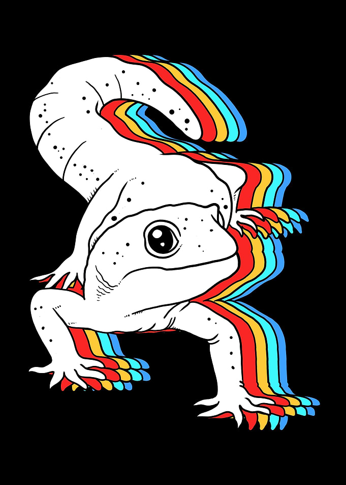 Kawaii Lizard