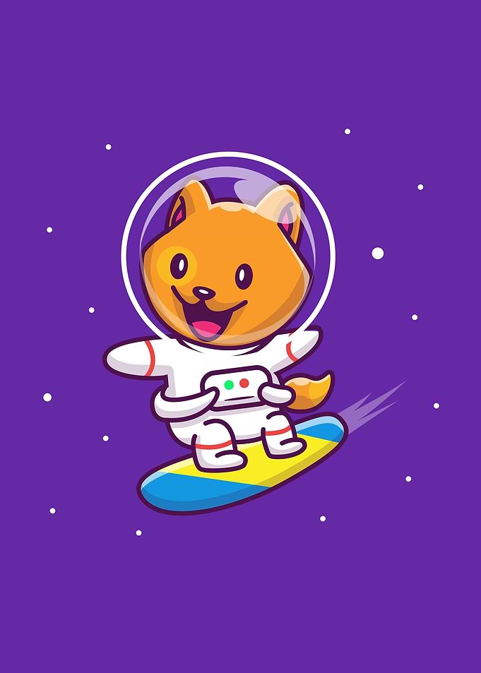 cat surfing on galaxy