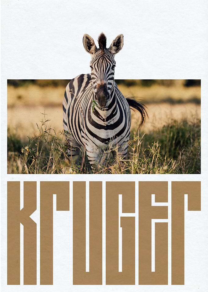 Kruger National Park SA