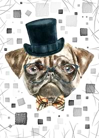 PUG DOG PORTRAIT