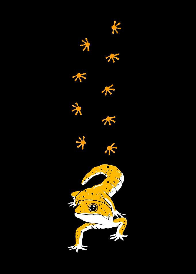 Leopard Gecko Lizard