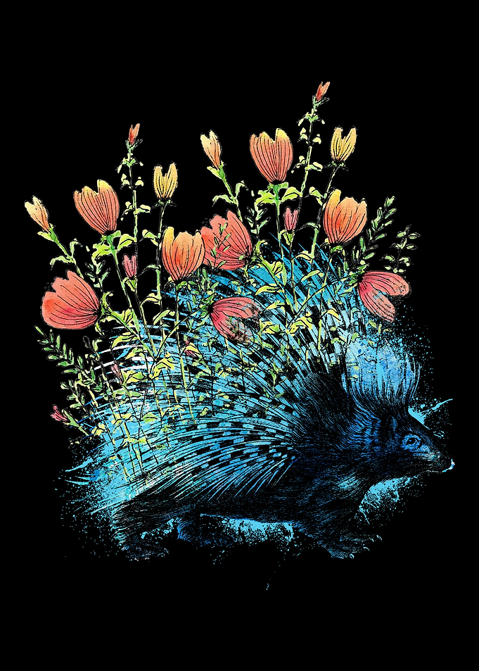 Porcupine