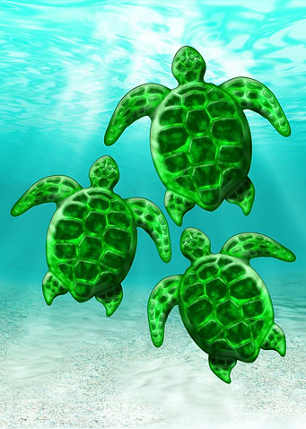 Green Sea Turtles