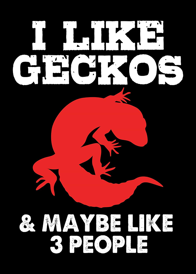 Gecko Lizard