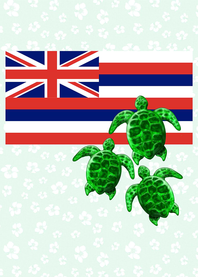 Hawaiian Islands Turtles