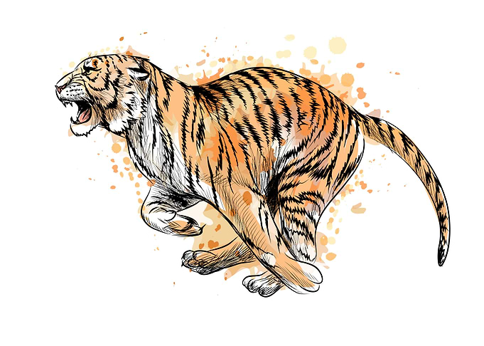 Tiger running