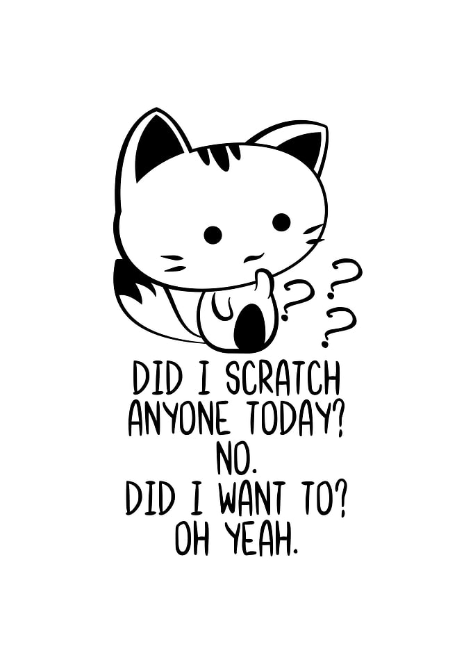Did I Scratch Anyone Today