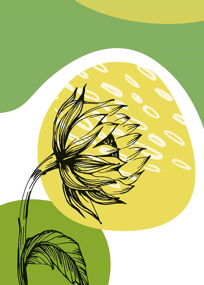 sunflower art