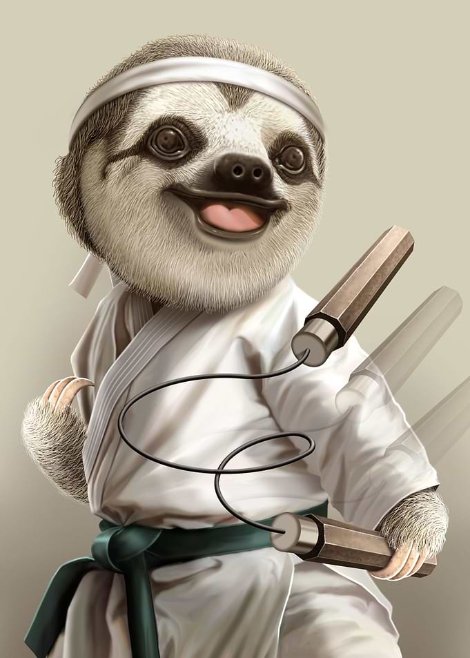 KARATE SLOTH