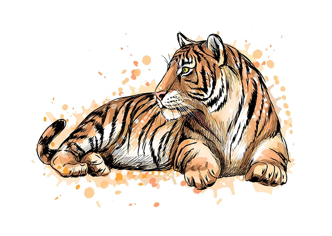 Portrait of a lying tiger