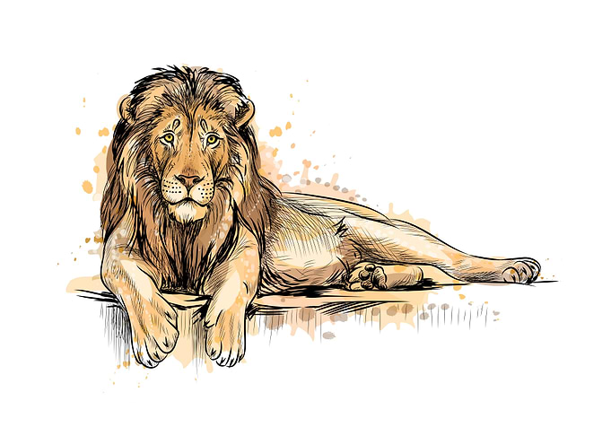 Portrait of a lion