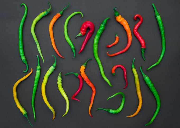 Colours of Chilli